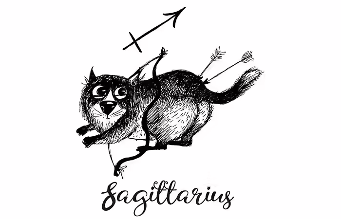 11. Sagittarius