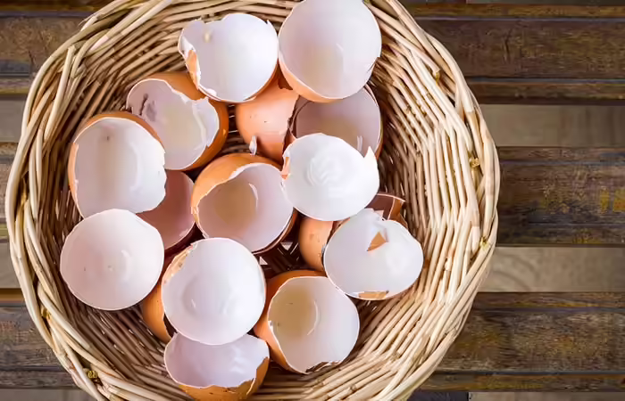 2. Eggshells