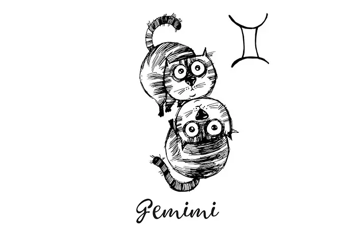 5. Gemini