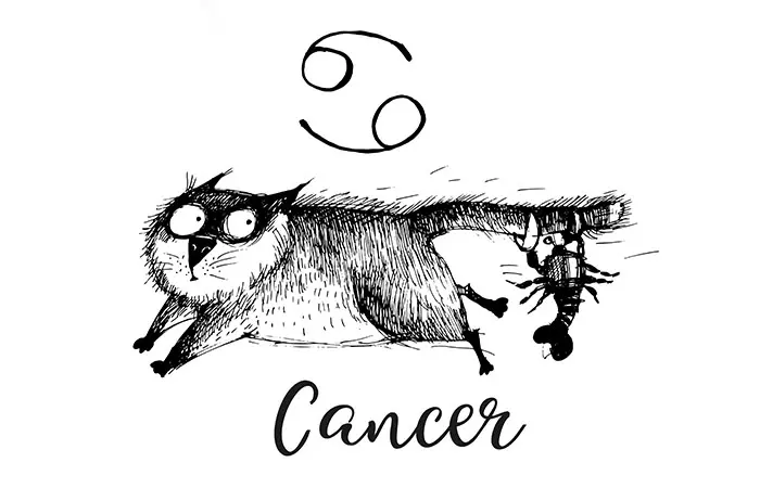 6. Cancer