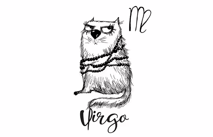 8. Virgo