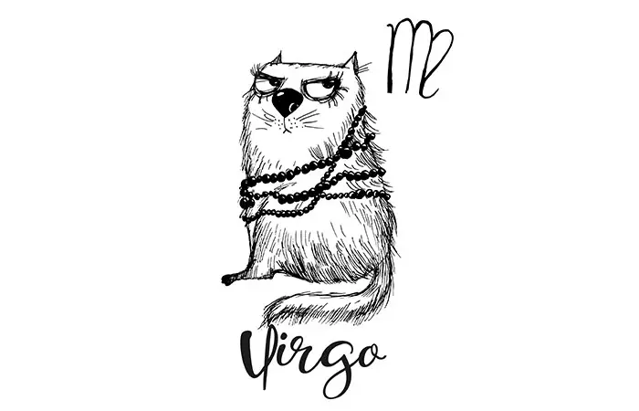 8. Virgo