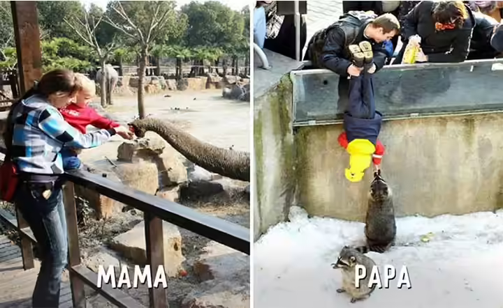 If You Want To Experience Wildlife Safari In A Zoo, Dad Is The One To Go Out With. If You Want To Experience Wildlife Safari In A Zoo, Dad Is The One To Go Out With.