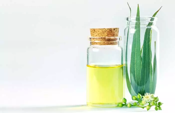 How To Get Rid Of Smoke Smell From Your House - Eucalyptus Oil