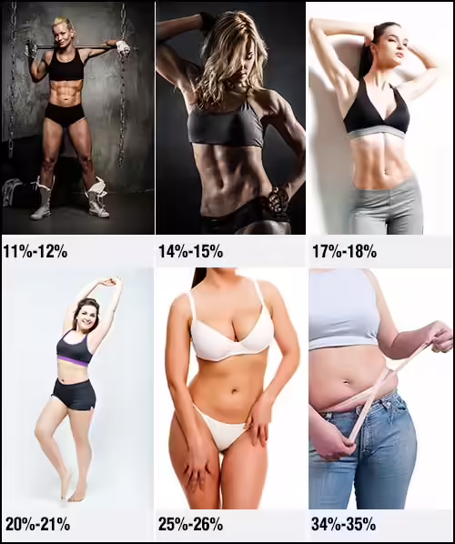 How Your Body Looks Depending On Your Body Fat - Measure Body Fat