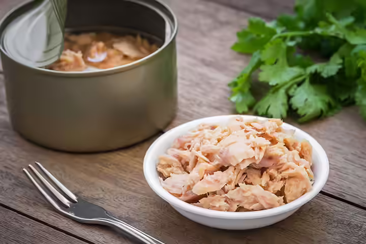 Canned Fish (Tuna) Canned Fish (Tuna)