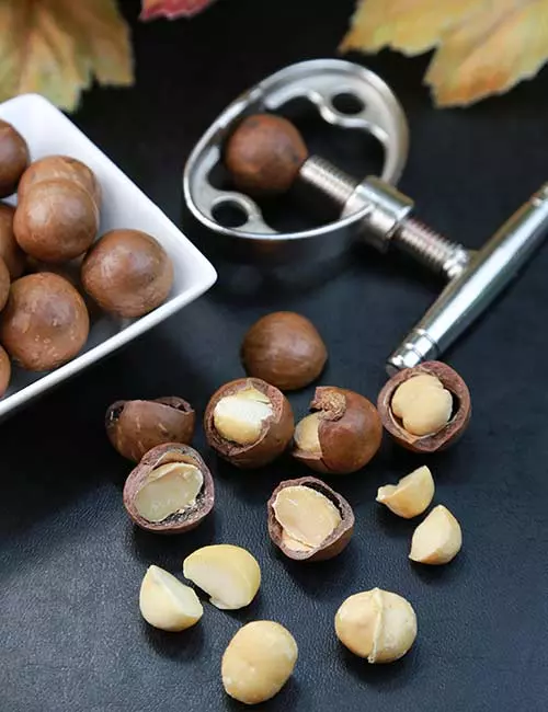 8. Macadamia Nuts