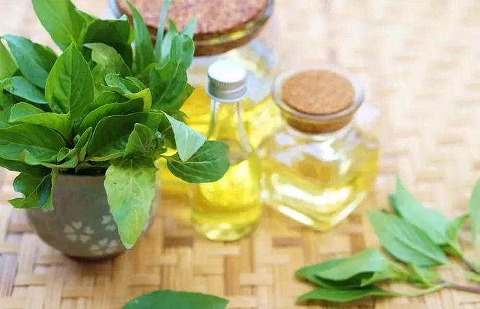 Basil Oil