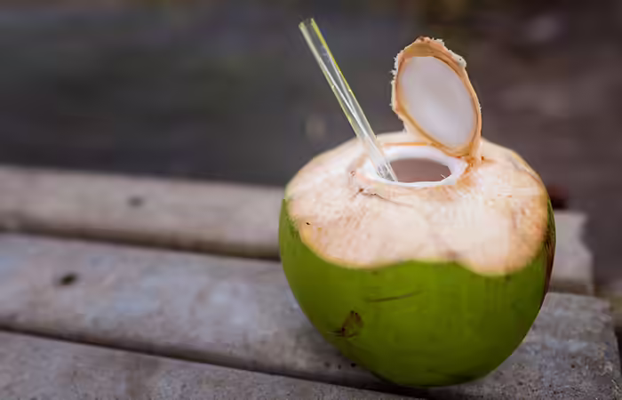 Coconut Coloring Page - Coconut Water