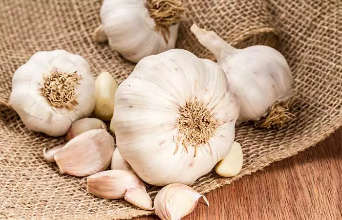 Garlic