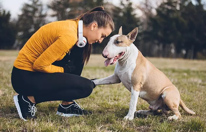 Not Realizing The Value Of Pets