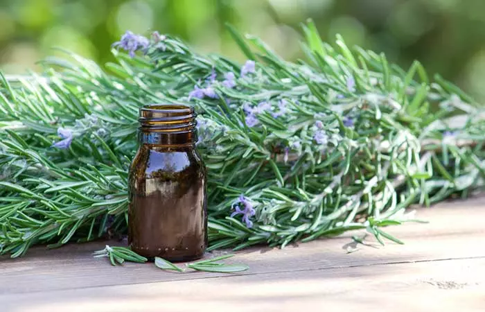 Rosemary Oil