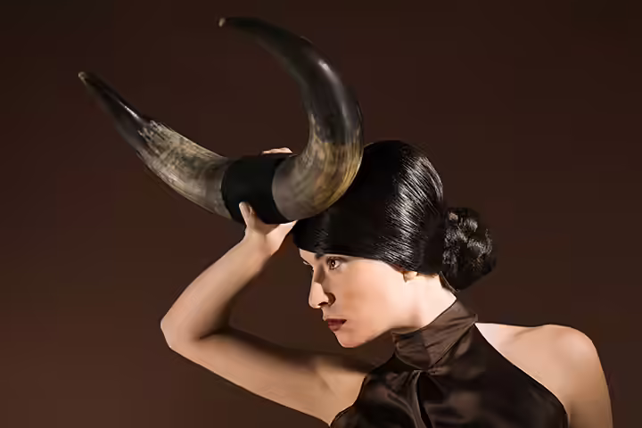Taurus Taurus