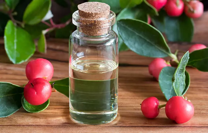 a. Wintergreen Oil