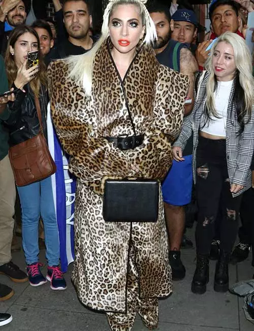 Lady Gaga Leopard Print Outfit - Lady Gaga Outfits