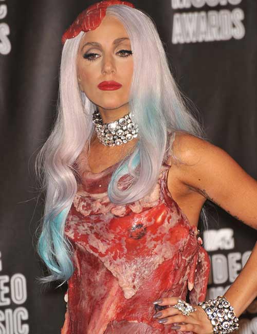 Lady Gaga Meat Dress - Lady Gaga Outfits