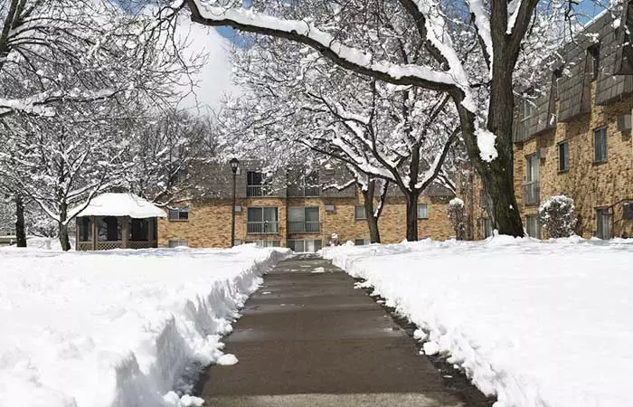 8. Cover Your Sidewalks With Coffee In Winter