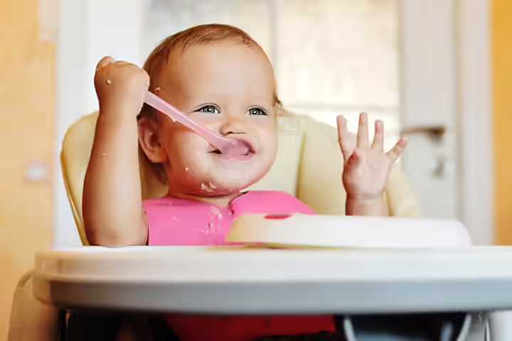 Baby Feeding Chairs Baby Feeding Chairs