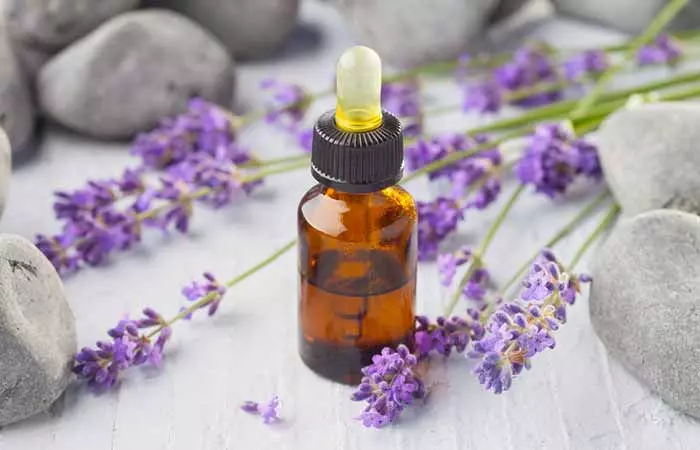 Lavender Oil 