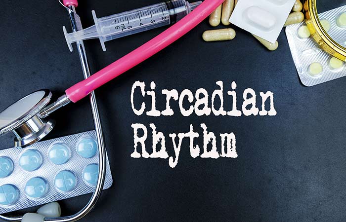 Let’s Understand A Little More About Our Circadian Rhythm