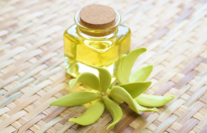 Ylang-Ylang Oil