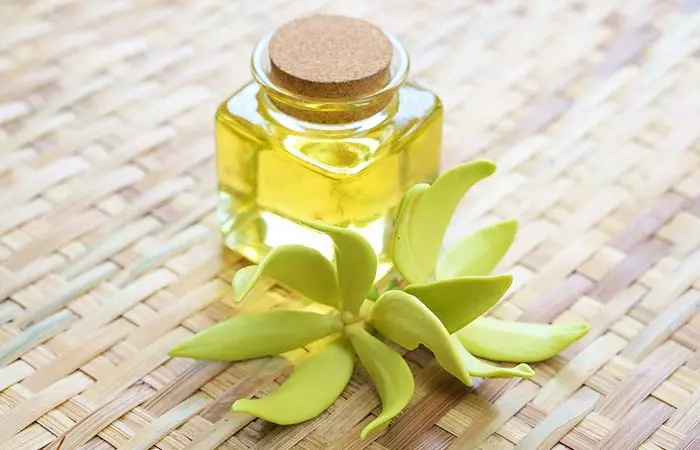 Ylang-Ylang Oil