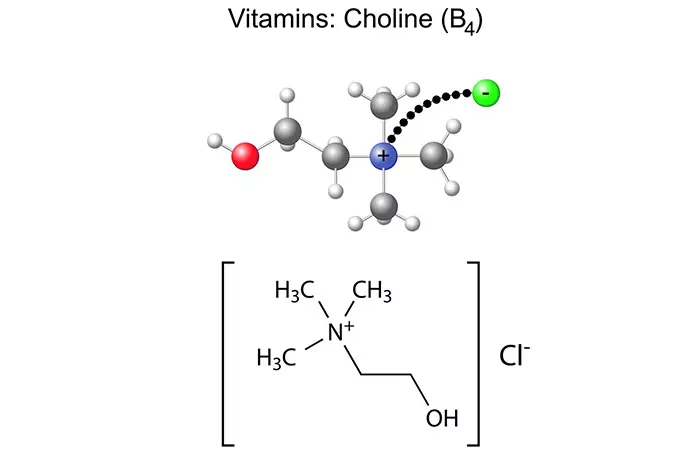 7.-Choline