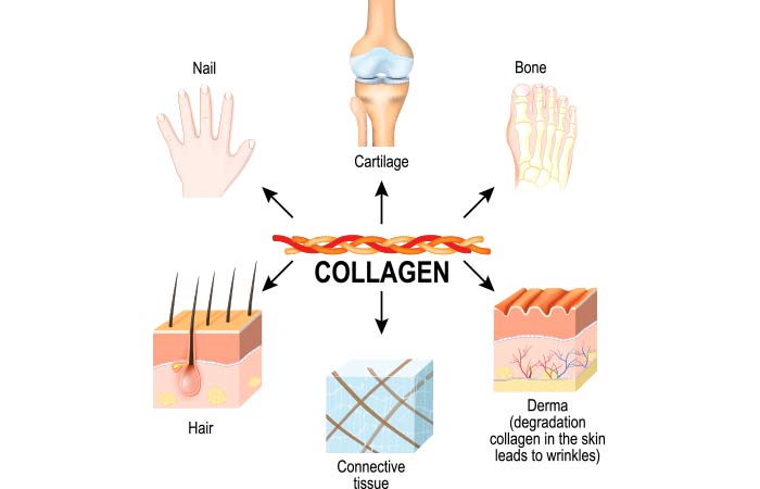Why Do You Need Collagen