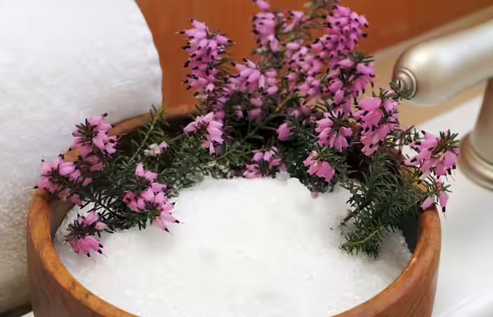 Epsom-Salt