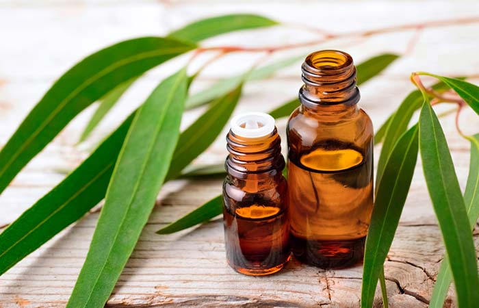 Eucalyptus Oil