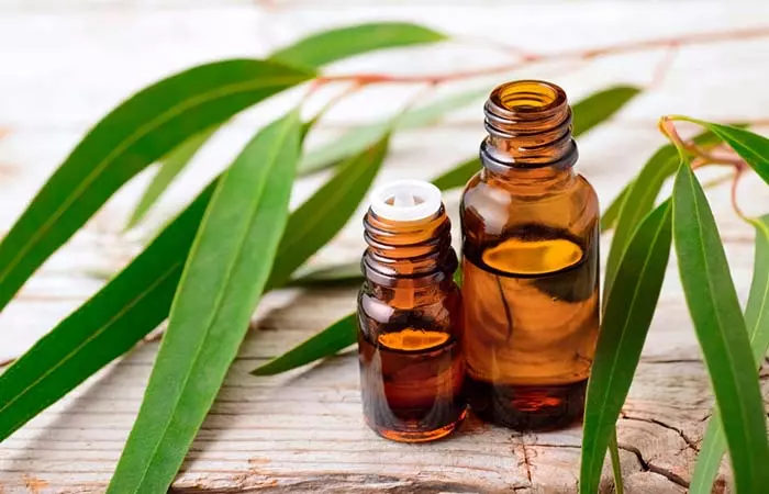 Eucalyptus Oil