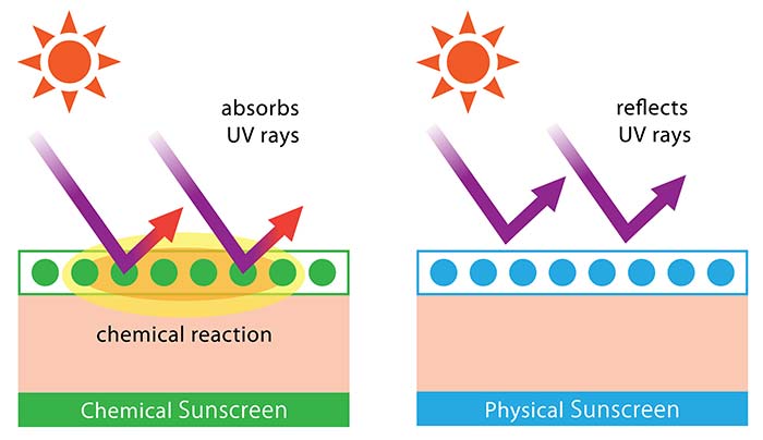 Physical And Chemical Sunscreens What Is The Difference