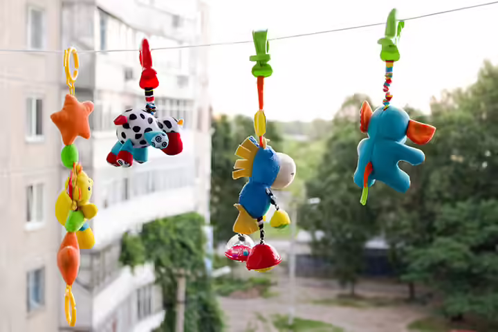 Sterilize All The Toys Regularly Sterilize All The Toys Regularly