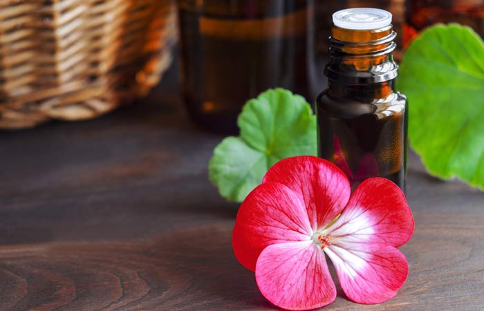 Chamomile Essential Oil Chamomile Essential Oil - Essential Oils For Sunburn