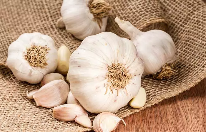 Garlic