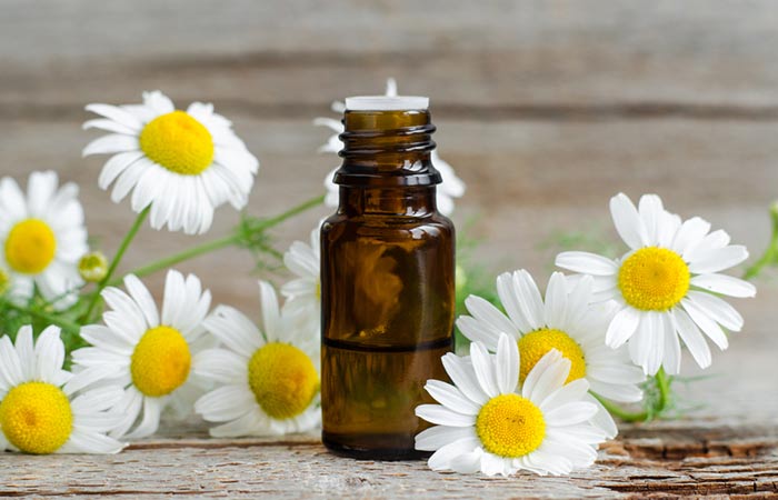 Geranium Essential Oil Geranium Essential Oil - Essential Oils For Sunburn
