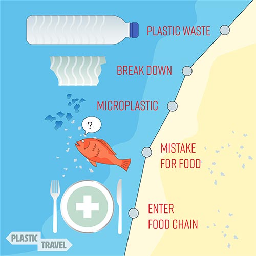 How Do Microplastics Enter The Human Ecosystem