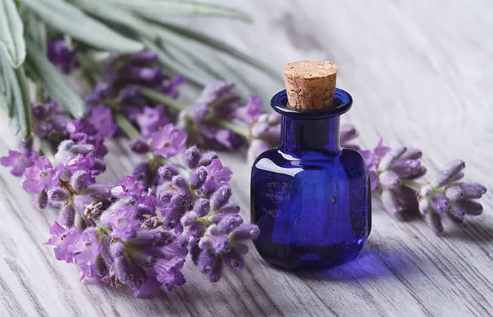 Lavender Oil