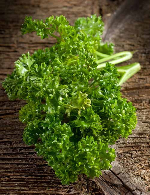 Parsley – PRAL Score -12.0