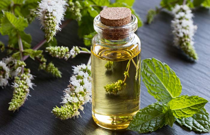 Peppermint Essential Oil Peppermint Essential Oil - Essential Oils For Sunburn