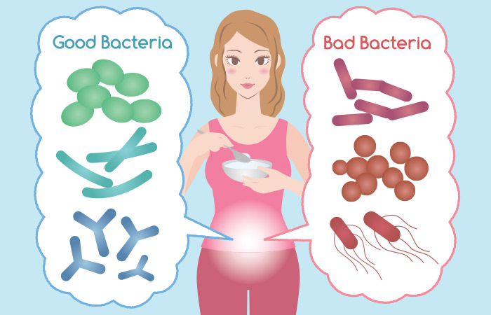 Promotes Gut Health And Digestion Promotes Gut Health And Digestion