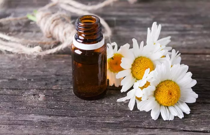 Roman Chamomile Oil