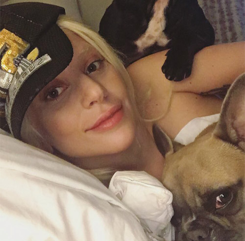 The Pet Selfie The Pet Selfie