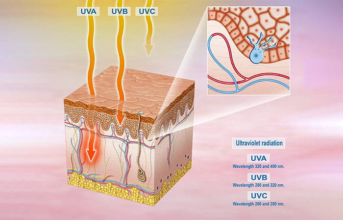 What’s The Difference Between UVA And UVB Rays