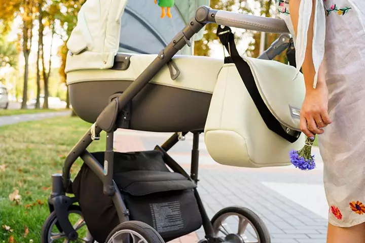 Baby Stroller Attachable Hook