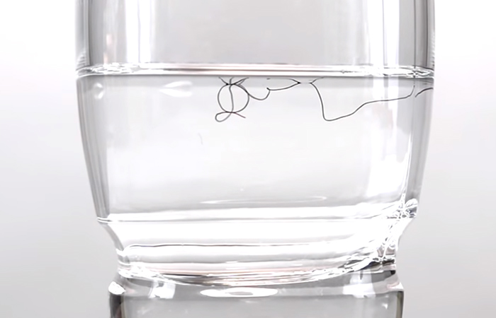 Float Test