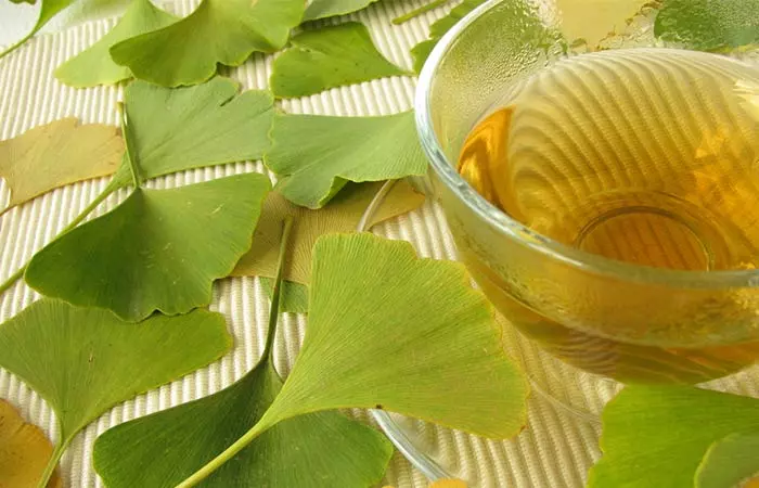 Ginkgo Biloba - Short-Term Memory Loss