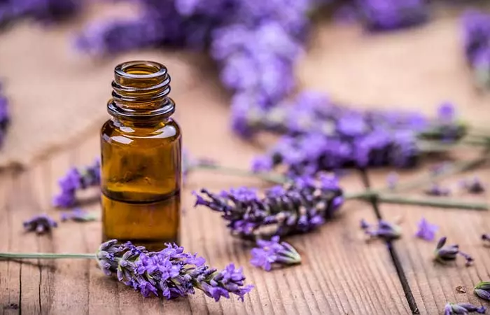 Lavender Oil - Autism