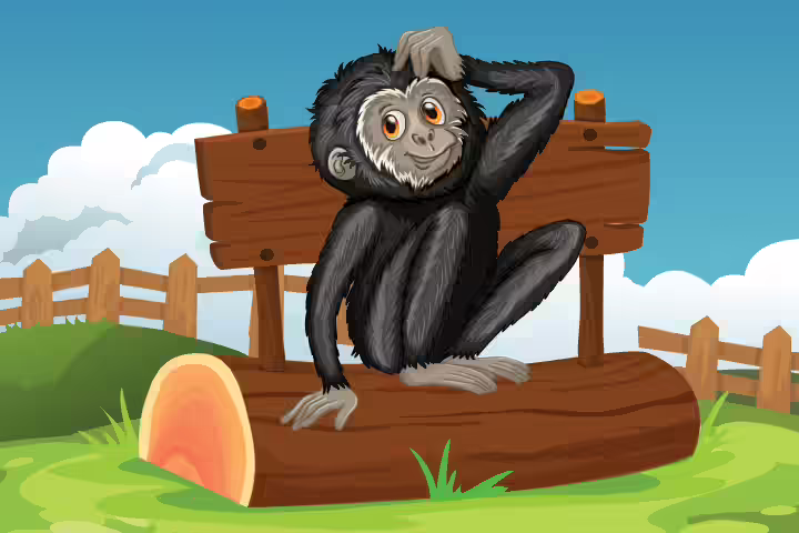 Monkey 