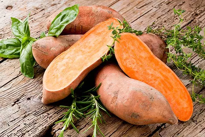 Sweet Potato